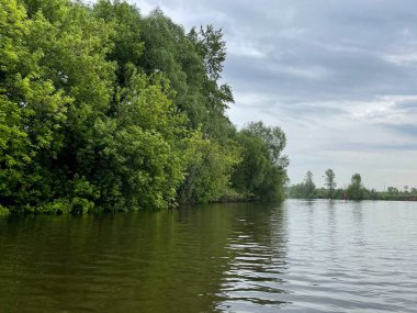 Sularına yansıyan ağaçların arasında yavaşça akan bir nehir.