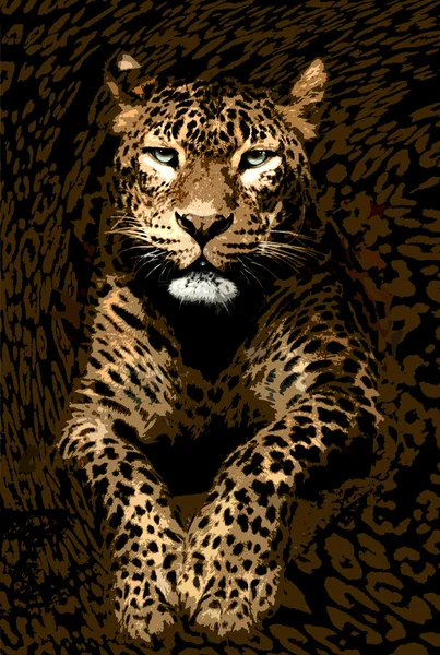 leopar