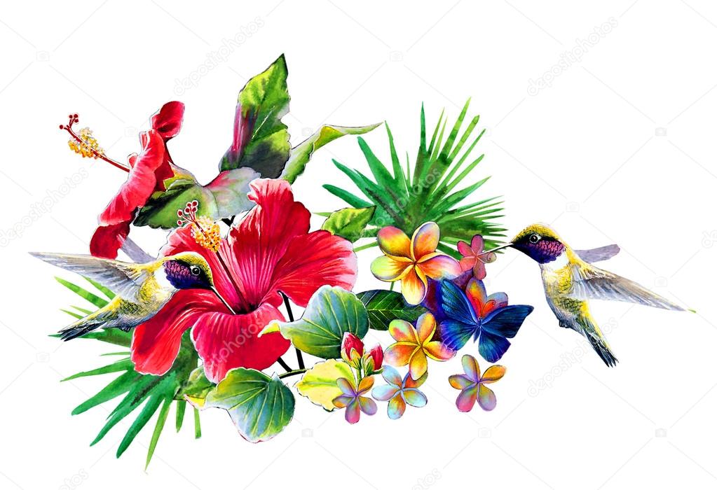 tropical flowers