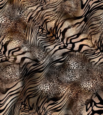 Leoparı kaplan postu