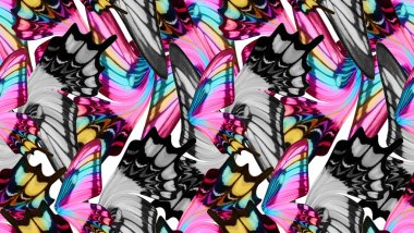 butterfly pink animal clipart