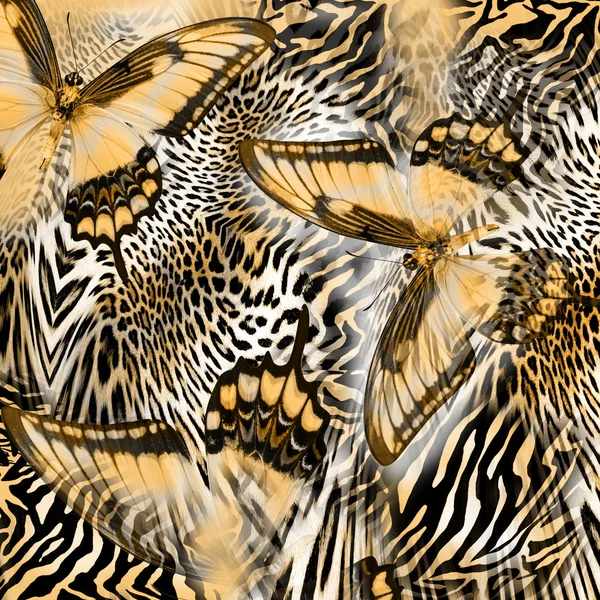 Mariposa serpiente cebra piel fondo — Foto de Stock