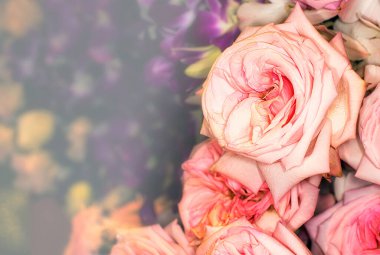 Harika gülleri olan güzel çiçek duvarlı arka plan