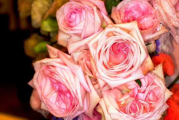 Beau Fond Mur Fleurs Avec Des Roses Étonnantes — Photo