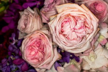 Harika gülleri olan güzel çiçek duvarlı arka plan