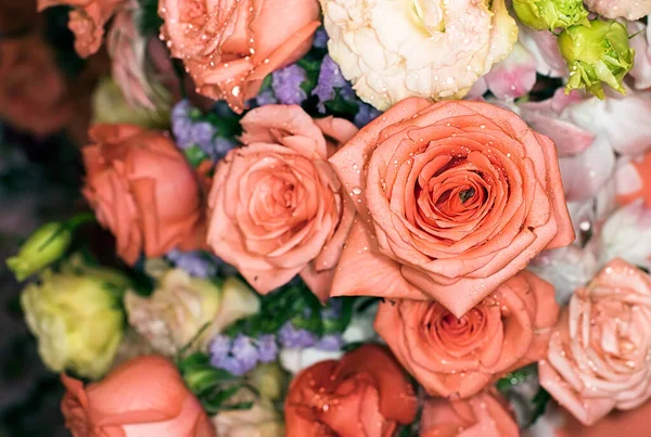 Красивые Цветы Стены Фона Удивительными Розами — стоковое фото