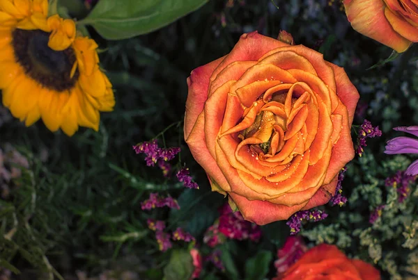 Hermoso Fondo Pared Flores Con Rosas Increíbles — Foto de Stock