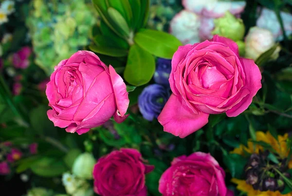 Hermoso Fondo Pared Flores Con Rosas Increíbles — Foto de Stock