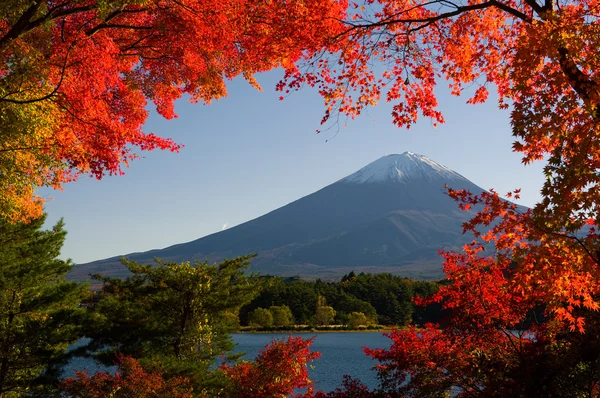 Monte Fuji. — Foto de Stock