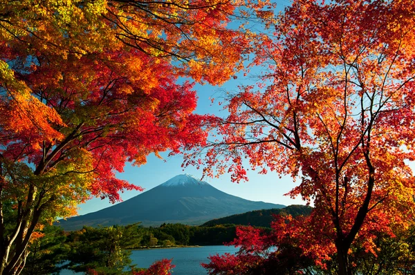 Monte Fuji — Foto Stock