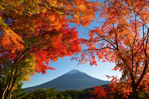 Monte Fuji — Foto Stock