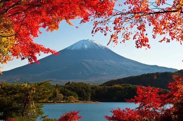 Monte Fuji — Fotografia de Stock