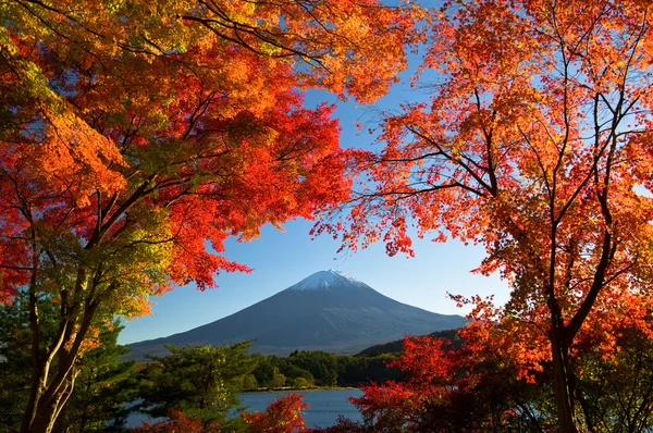 Monte Fuji — Foto Stock