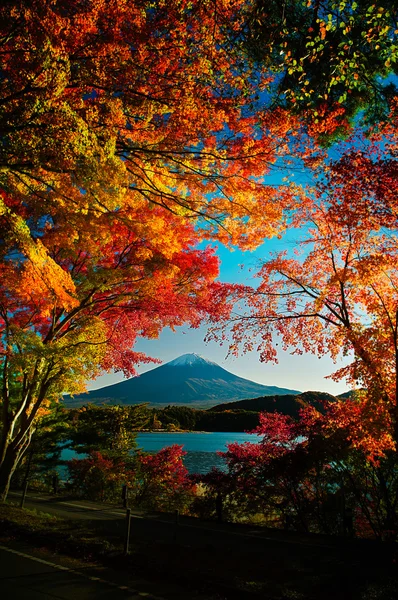 Monte Fuji. — Foto de Stock