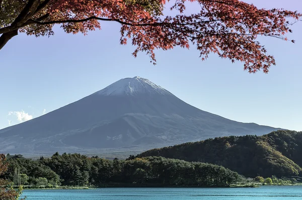 MT Fuji — Stok fotoğraf