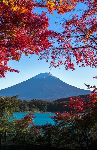 Monte Fuji — Foto Stock