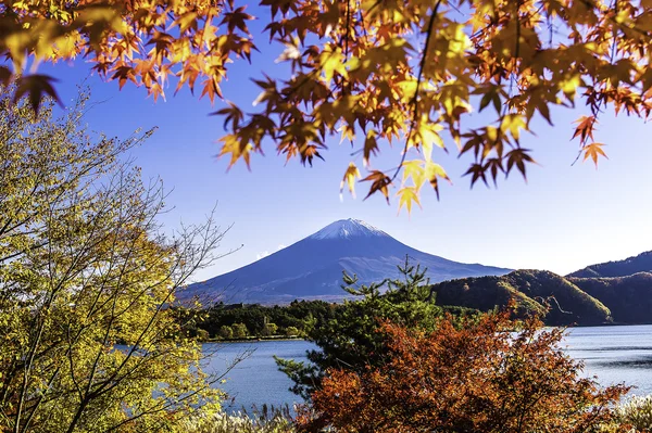 MT Fuji — Stok fotoğraf