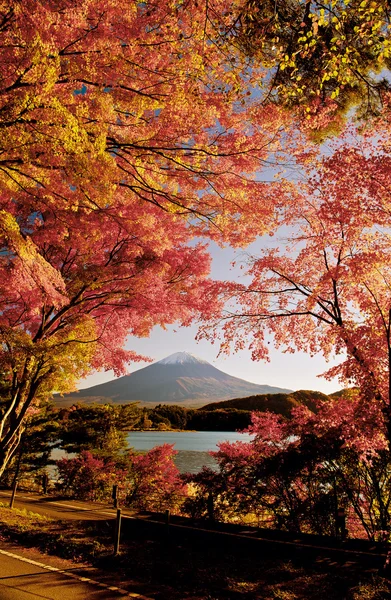 Monte Fuji — Fotografia de Stock