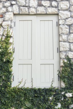 Ivy ile kaplı bir evin penceresi