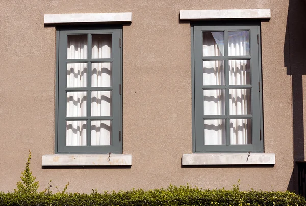 Fenêtre d'une maison couverte de lierre — Photo