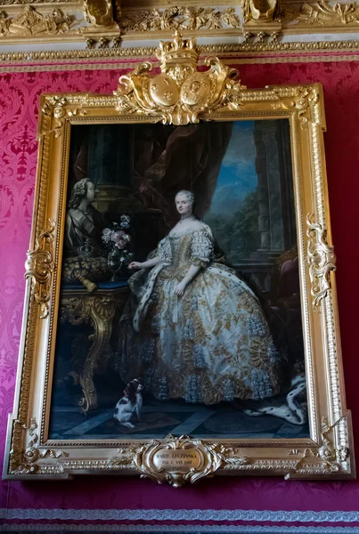Ayrıntılı olarak büyük salon balo salonunda Versailles