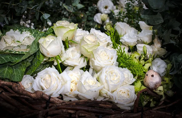 Piękne róże jako tło — Zdjęcie stockowe