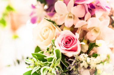  arka plan olarak güzel güller 