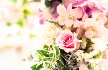  arka plan olarak güzel güller 