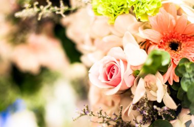  arka plan olarak güzel güller 