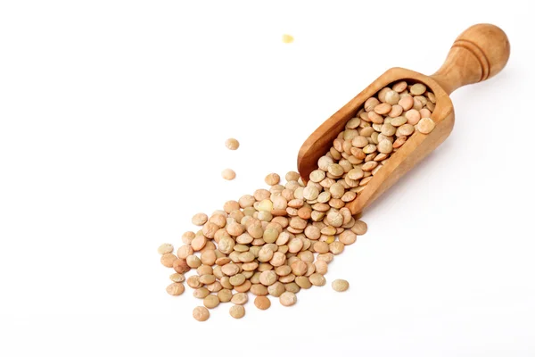Beyaz bir arka plan üzerinde mercimek kaşığı