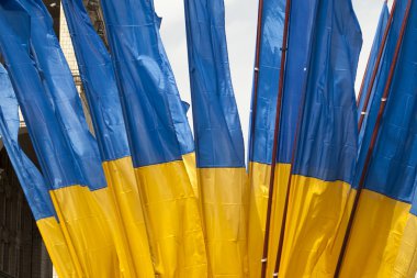 Kiev Khreshchatyk'a askeri geçit