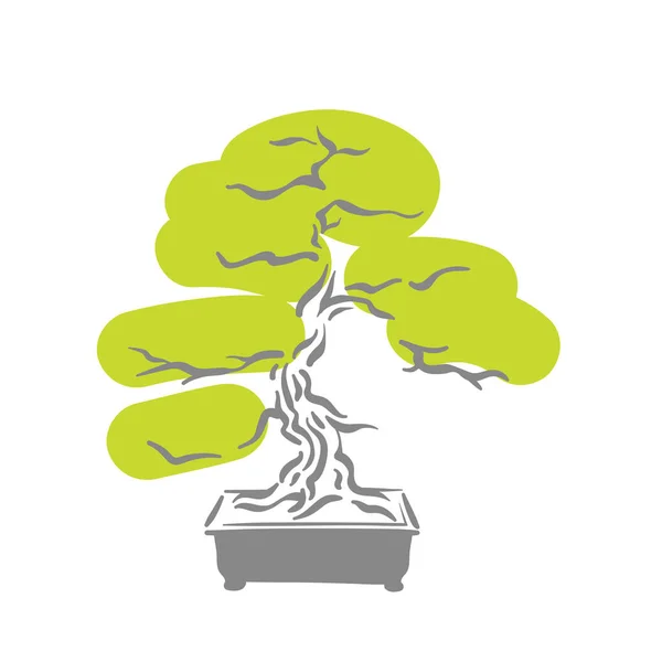 Árbol de bonsái viejo japonés en logotipo de olla — Vector de stock