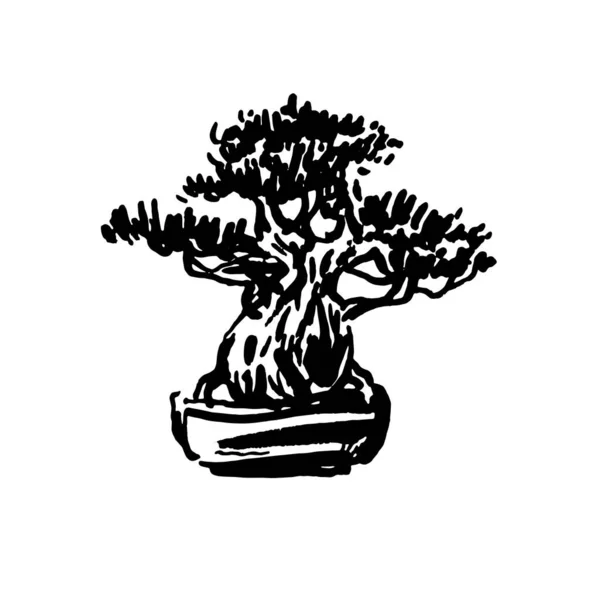 Japanischer alter Bonsai-Baum im Topf, handgezeichnetes Logo — Stockvektor