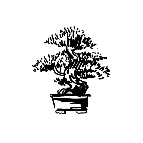 Japanese old bonsai tree in pot hand drawn logo — Stock Vector
