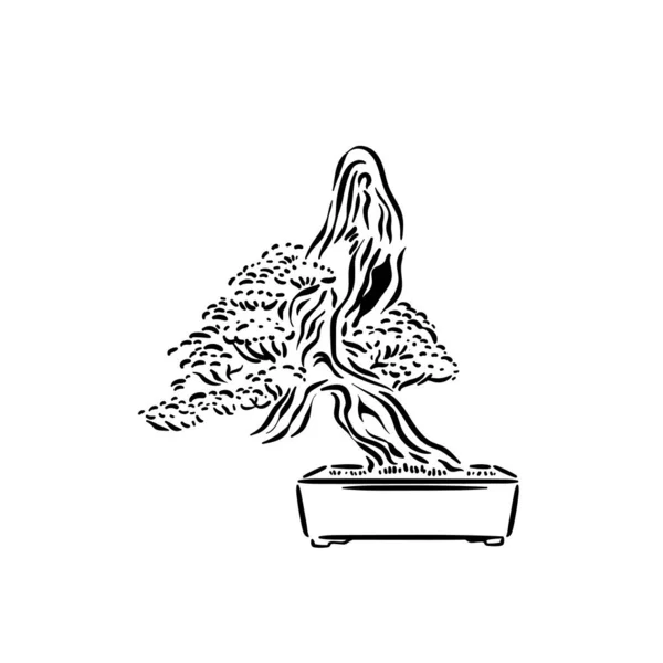 Japanse oude bonsai boom in pot logo — Stockvector