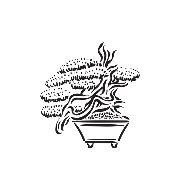 Japanska gamla bonsai träd i potten logotyp — Stock vektor