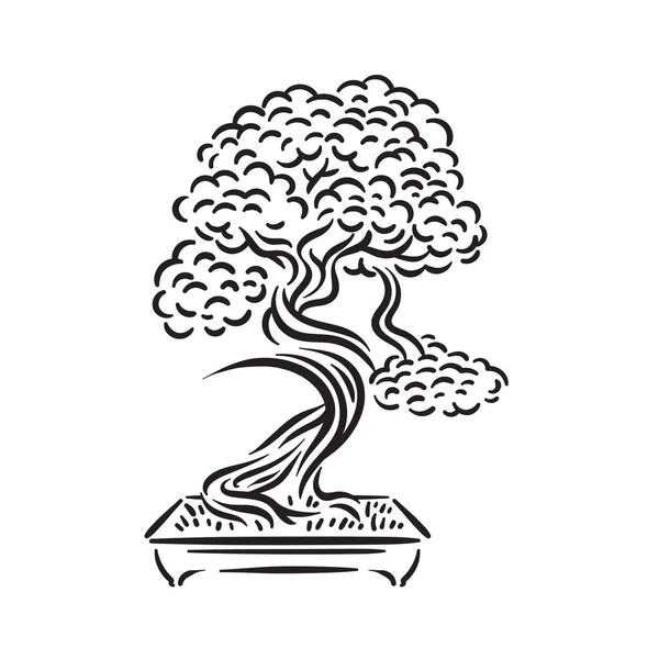 Japonês velho bonsai árvore no pote logotipo —  Vetores de Stock