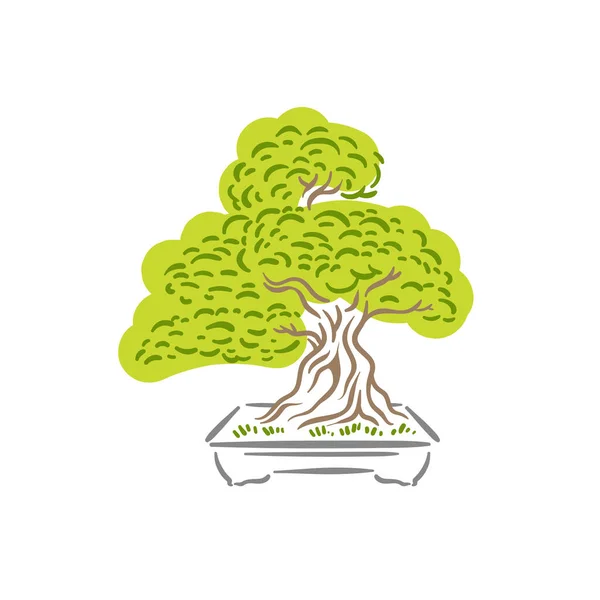 Árbol de bonsái viejo japonés en logotipo de olla — Vector de stock