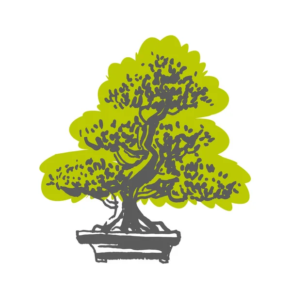 Árbol de bonsái viejo japonés en maceta dibujado a mano logo — Vector de stock
