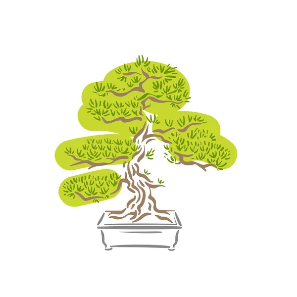 Árbol de bonsái viejo japonés en logotipo de olla — Vector de stock