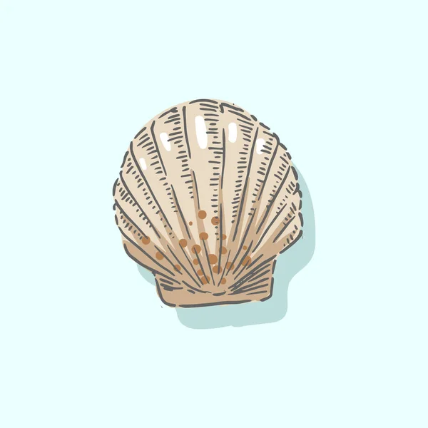Coquille, coquille, mer, mollusque, crustacés, illustration nautique — Image vectorielle