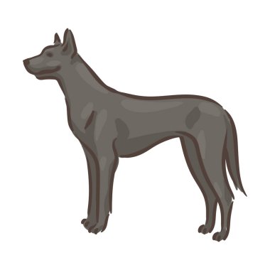 Şirin köpek Deutsche Dogge soy ağacı çizimi yapıyor. 