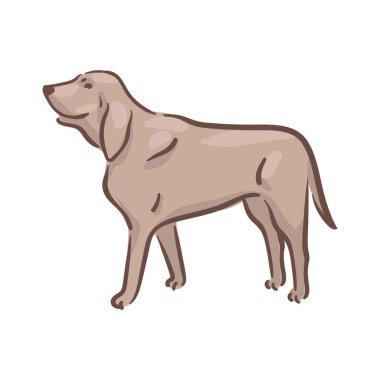 Şirin köpek Bloodhound soyu vektör çizimi 