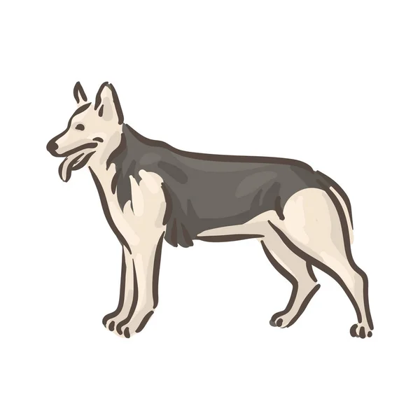 Lindo perro Deutscher Schaferhund raza pedigrí vector ilustración — Archivo Imágenes Vectoriales