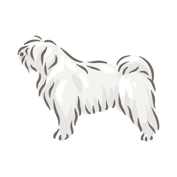 Roztomilý pes Puli plemeno rodokmen vektorové ilustrace — Stockový vektor