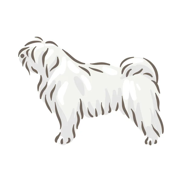 Söt hund Puli ras härstamning vektor illustration — Stock vektor