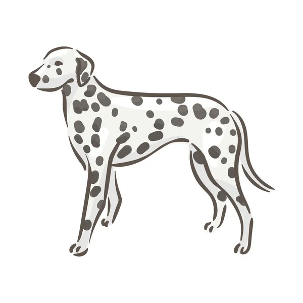 Chien mignon Dalmatinac race pedigree illustration vectorielle — Image vectorielle