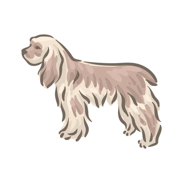 Roztomilý pes kokršpaněl plemeno rodokmen vektorové ilustrace — Stockový vektor