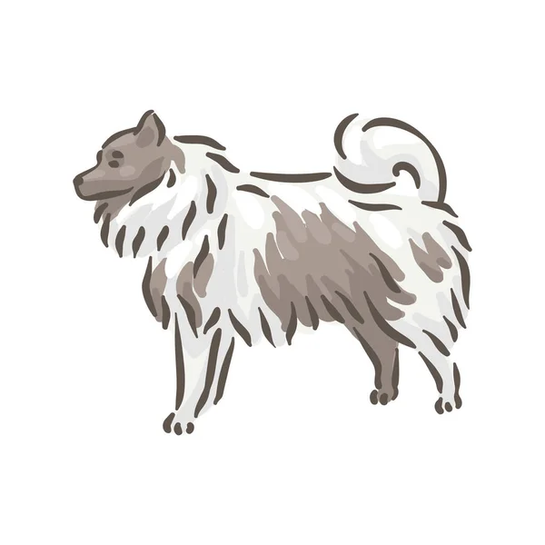 ( 영어 ) Cute dog Spitze breed pedigree vector illustration — 스톡 벡터