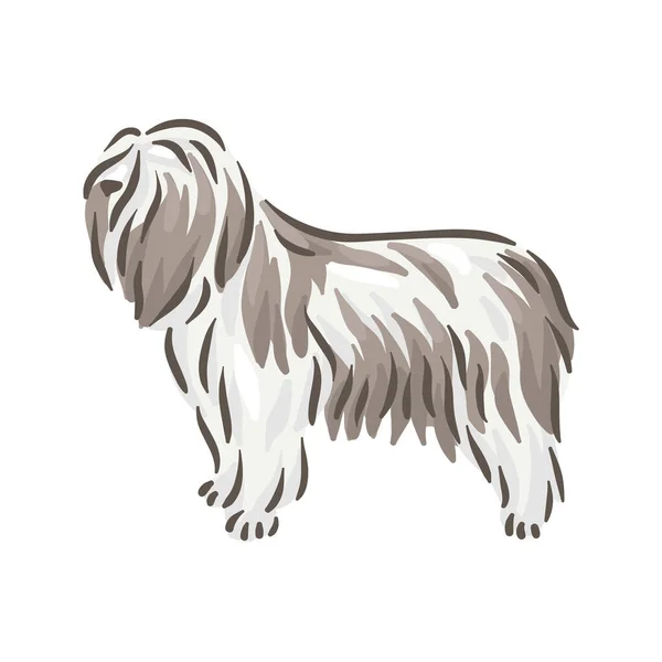 Lindo perro Polski Owczarek Nizinny raza pedigrí vector ilustración — Vector de stock